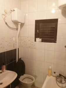 een badkamer met een toilet en een wastafel bij Family apartment Nebojsa in Bar