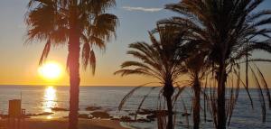 a sunset on the beach with palm trees at La Luna Blanca in Torremolinos