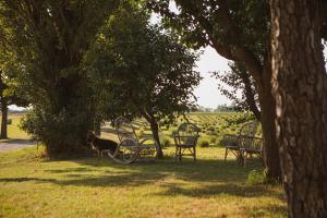 Agriturismo Il Capitolo外面的花园