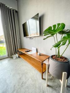 a room with a desk and a potted plant at Bedgasm Hostel Chanthaburi in Chanthaburi