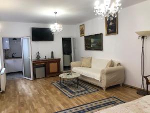 a living room with a couch and a table at STUDIO RICHARD in Braşov