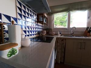 Kuchyň nebo kuchyňský kout v ubytování VALDEVAQUEROS HOUSE