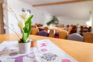 una pianta in vaso seduta su un tavolo con un tovagliolo di Haus Kranzusch a Sonthofen