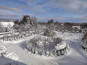a park covered in snow with trees and a fountain at Dwór Bartnika in Narewka