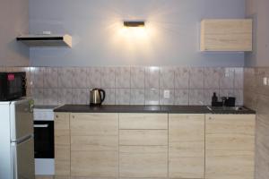 Kuchnia lub aneks kuchenny w obiekcie Szkocka 4 Apartamenty