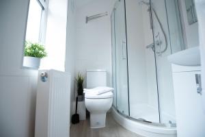 a white bathroom with a toilet and a shower at Franklin Lodge in Reading