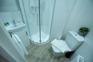 a bathroom with a shower and a toilet and a sink at Franklin Lodge in Reading