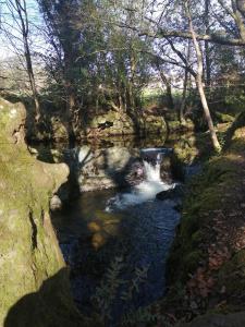 a river with a waterfall in a forest at The Oystercatcher in Rostrevor