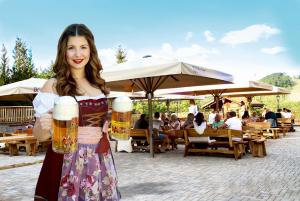 Majutusasutuse Hotel Sonnenhof Aspach külastajad