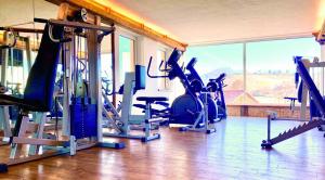 Fitness centrum a/nebo fitness zařízení v ubytování Hotel Sonnenhof Aspach