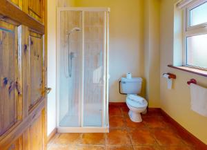 um banheiro com vaso sanitário e chuveiro de vidro em Seacliff Holiday Homes No 8 by Trident Holiday Homes em Dunmore East