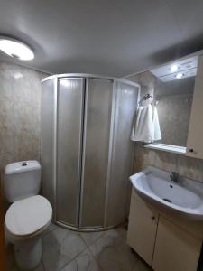 a bathroom with a shower and a toilet and a sink at Bahar Bahce Datca in Mesudiye