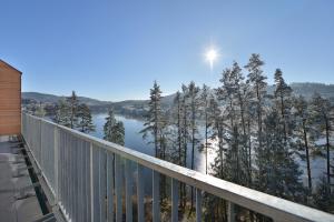 Príroda v okolí apartmánu