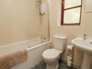a white bathroom with a toilet and a sink at Tyn Y Ffynnon in Betws-y-coed +15 photos