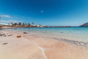 a sandy beach with the ocean and palm trees at Seaside Villa La Graciosa in Pedro Barba