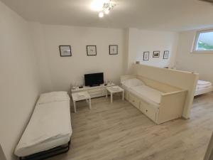 Schlafzimmer mit einem Bett und einem Schreibtisch mit einem TV in der Unterkunft Antonio Appartement in Steinabrückl