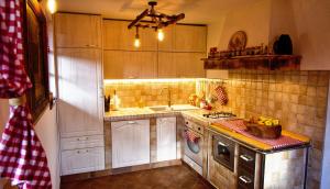 a kitchen with a sink and a stove top oven at Vineyard cottage Podržaj in Otočec
