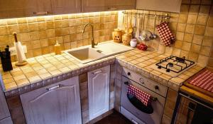 a kitchen with a sink and a stove at Vineyard cottage Podržaj in Otočec