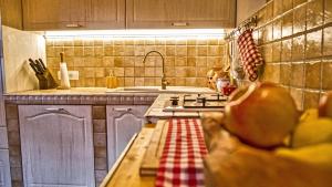 a kitchen with a sink and a counter with apples on it at Vineyard cottage Podržaj in Otočec