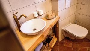 a bathroom with a sink and a toilet at Vineyard cottage Podržaj in Otočec