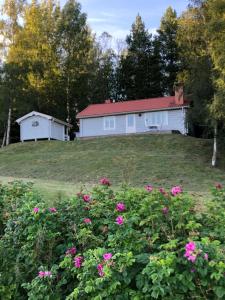 Aed väljaspool majutusasutust Bialett