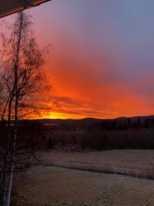 Päikesetõus või päikeseloojang puhkemaja juurest või lähedalt vaadatuna