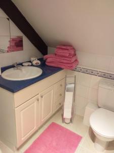 y baño con lavabo, aseo y toalla rosa. en LA PETITE MAISON DU SABOT en Langonnet