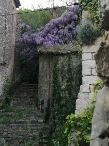 Gite des Gorges de l'Ardèche外面的花园