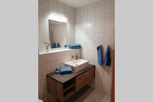ein Bad mit einem Waschbecken und einem Spiegel in der Unterkunft Quartier am Markt- Ferienwohnung in Bad Gottleuba