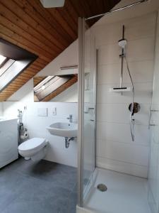 e bagno con doccia, servizi igienici e lavandino. di Ferienwohnung Magnolie in Langenargen a Langenargen