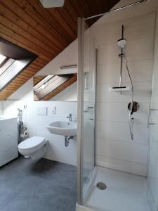 a bathroom with a shower and a toilet and a sink at Ferienwohnung Magnolie in Langenargen in Langenargen