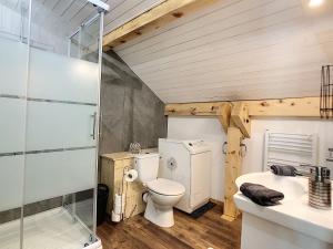 uma casa de banho com um WC, um lavatório e um chuveiro em Mont Étape , F2, 42 m2, Calme, Vue Mt Blanc em Passy