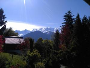 - une vue sur une chaîne de montagnes avec des arbres et un banc dans l'établissement Mont Étape , F2, 42 m2, Calme, Vue Mt Blanc, à Passy
