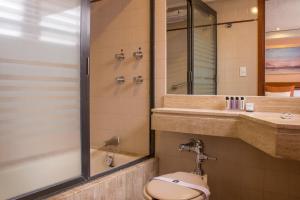 墨西哥城Hotel Marlowe Centro Histórico的配有马桶、淋浴和水槽的浴室
