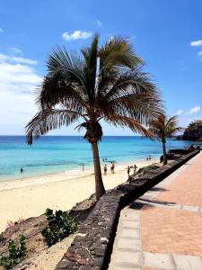 eine Palme am Strand mit Menschen am Strand in der Unterkunft Your Ocean Blue in Costa Calma