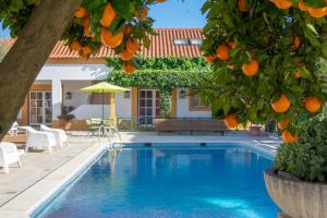 a pool with an orange tree in front of a house at Quinta do Lagar de São José in Paialvo