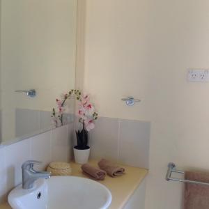 a bathroom with a sink and a vase of flowers on a counter at The Cook Cottage in Canberra