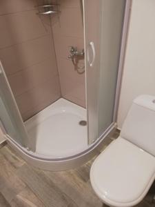 uma casa de banho com um chuveiro e um WC. em Vėjo 16 em Biržai