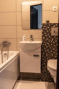 uma casa de banho com um lavatório, um WC e um espelho. em Central Park studio em Gulbene