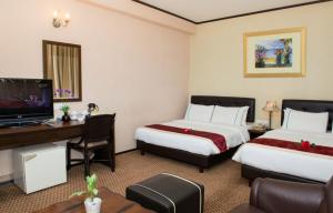 TV a/nebo společenská místnost v ubytování Hotel Vistaria