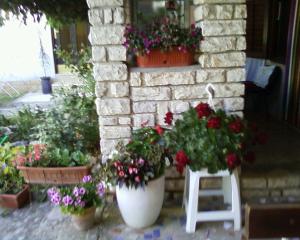 Zahrada ubytování Apartments M&R ŠPADINA
