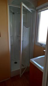 une douche avec une porte en verre à côté d'un lavabo dans l'établissement ETANG PRE DE LA FONT, à Cercles