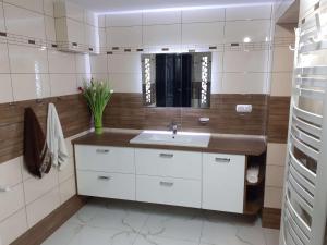 a bathroom with a sink and a mirror at Mieszkanie z niezależnym wejściem in Ochotnica Górna