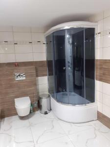 een badkamer met een douche en een toilet bij Mieszkanie z niezależnym wejściem in Ochotnica Górna