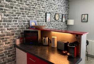 a kitchen counter with a microwave and a brick wall at Studio Urban Chic Annecy in Annecy