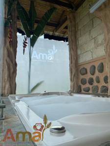 eine Badewanne mit einer Pflanze in der Mitte in der Unterkunft Ama Ecolodge in Puerto Misahuallí