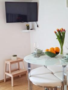 Televízia a/alebo spoločenská miestnosť v ubytovaní Villa Sofija