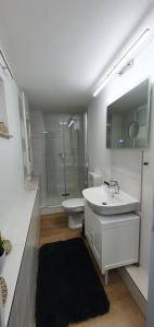 a bathroom with a sink and a shower and a toilet at Am Borgwallsee 2 in Steinhagen