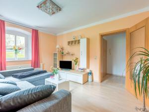 sala de estar con sofá y TV en Apartment in Rauschenbach Saxony near Forest, en Neuhausen