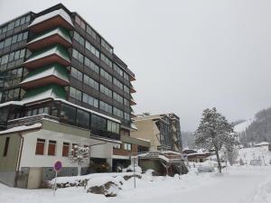 Gallery image of Résidence belle hutte coté pistes de ski in La Bresse